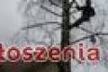 Wycinka - przycinka drzew 0-500-074-730